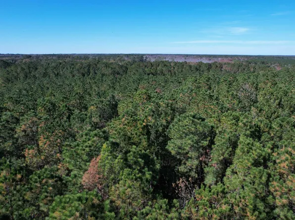 7.90 Acres-TBD Puncheon Creek Dr., Andrews, SC 29510