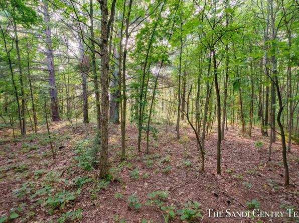 0 158th Ave, West Olive, MI 49460