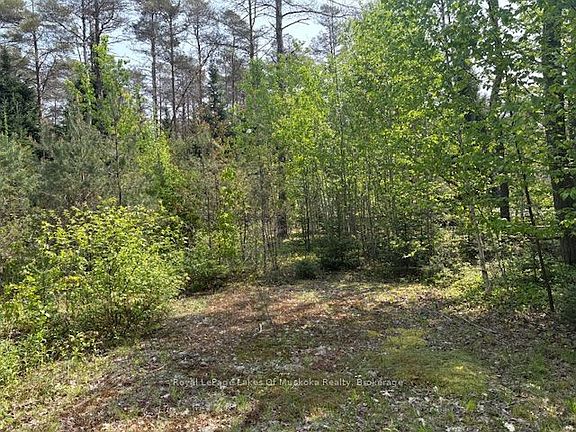 2nd image of 147 So Ho Mish Rd