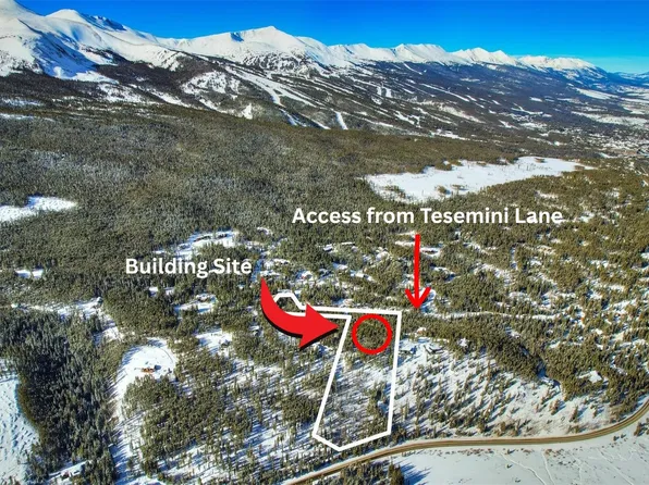 62 Tesemini Lane, Blue River, CO 80424