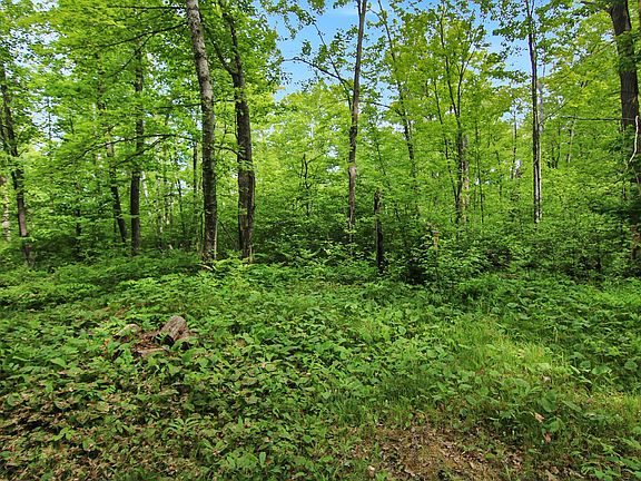 5th image of Crooked Lake Twp