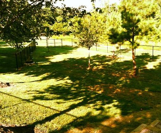Fenced Dog Park