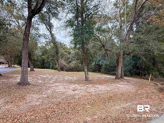 5th image of 12566 County Road 49