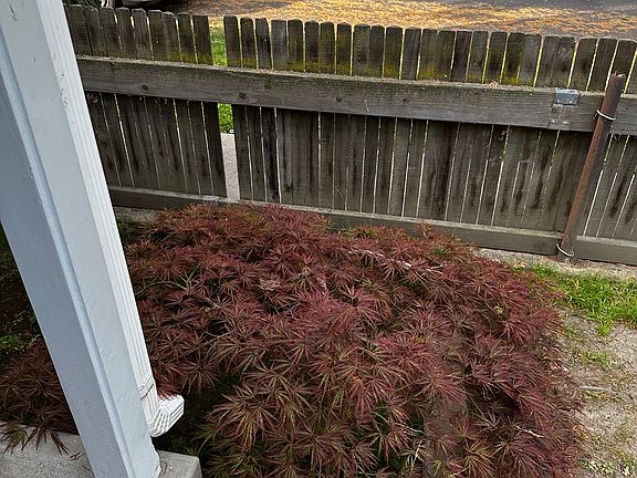 3rd image of 2049 Bidwell Way