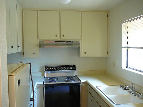 Sunny kitchen, electric stove, fridge, dishwasher