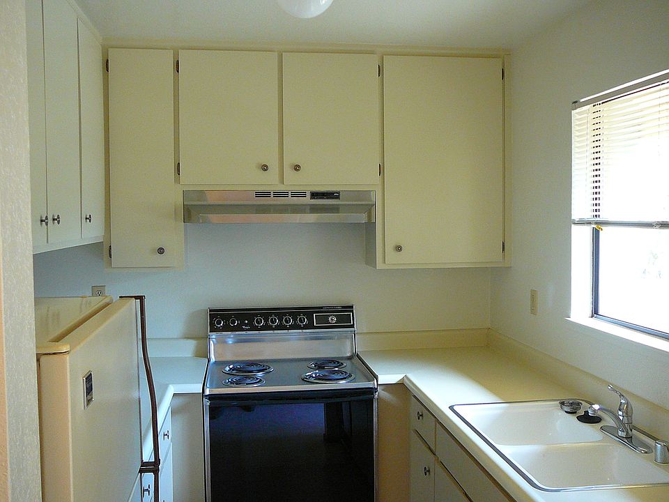 Sunny kitchen, electric stove, fridge, dishwasher