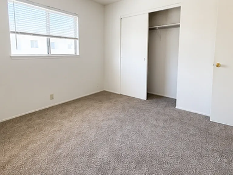 3002 Magliocco Dr — Photo 8