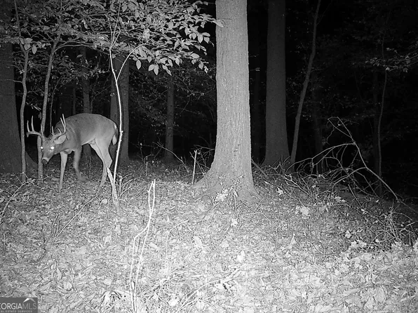 6 Wood Duck Dr, Elberton, GA 30635