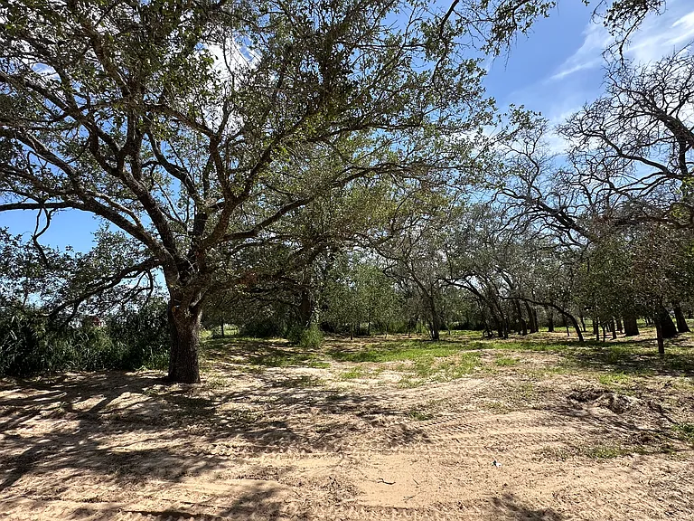 5161 County Road 302 — Photo 15
