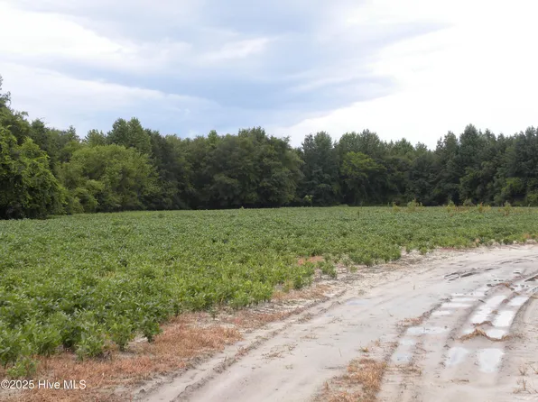 Tbd Conetoe Road, Greenville, NC 27834