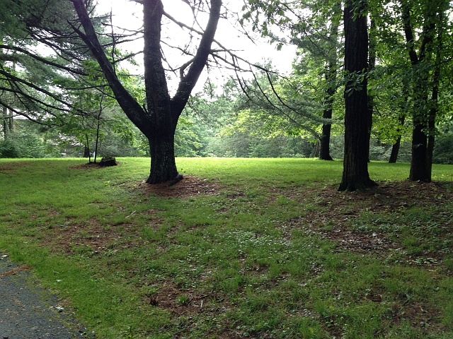1st image of Lot 7 Flat Mountain Estates Road