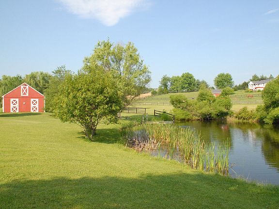 pond and barn/stall