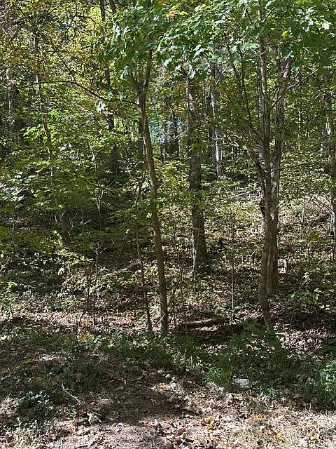 1st image of 1 & 2 Anderson Bend Rd