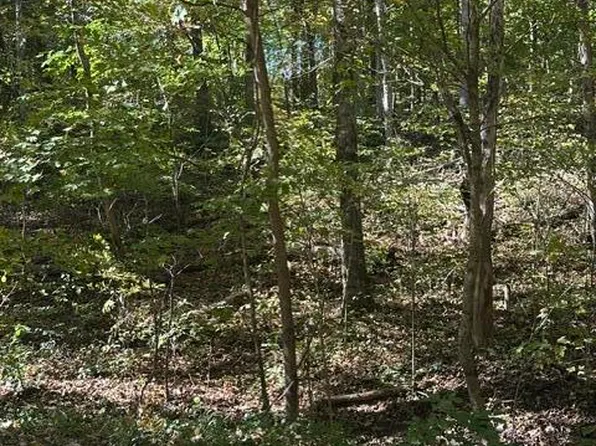 1 & 2 Anderson Bend Rd, Russellville, TN 37860