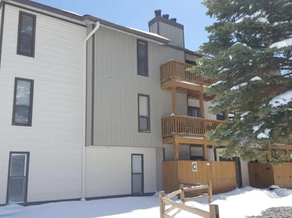 1890 Argentine St #C101, Georgetown, CO 80444