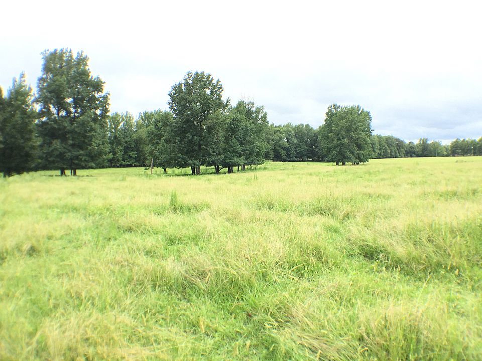 1st image of County Road 1451