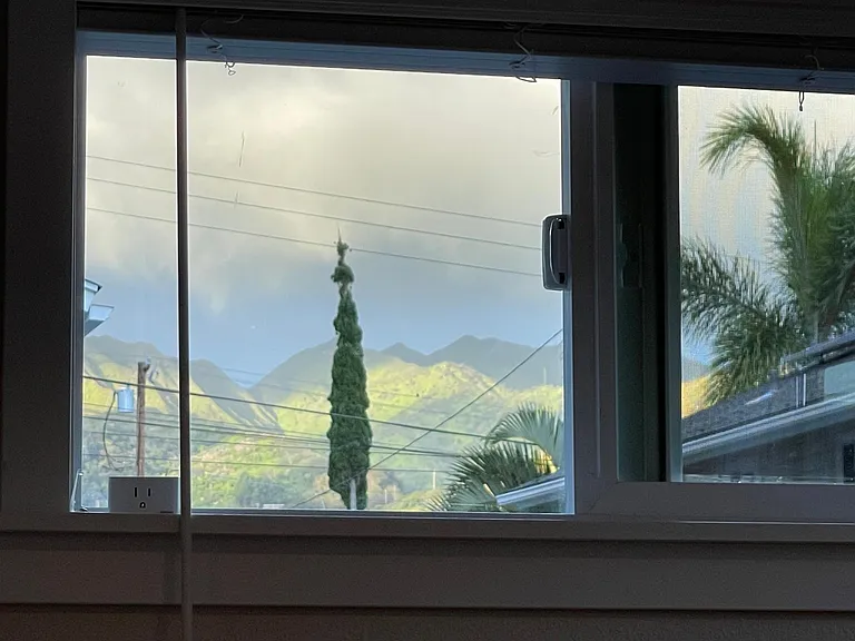 Palolo Ave — Photo 19