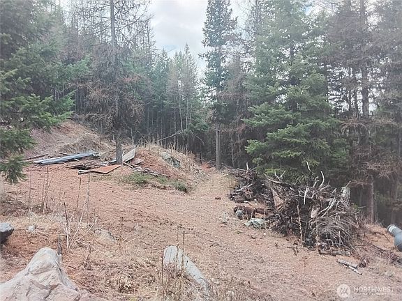3rd image of 0 Cougar Loop Drive