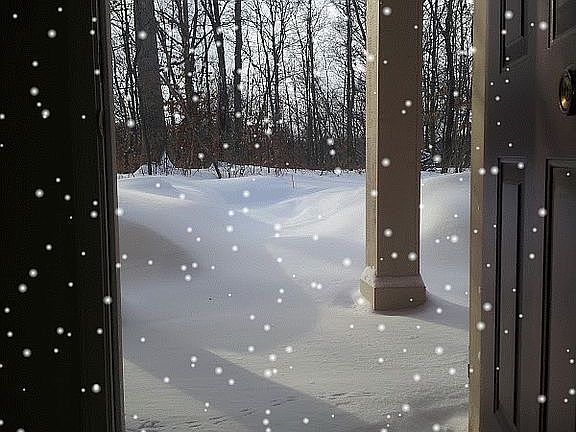 View from foyer (ft. door)