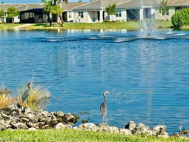 28318 Captiva Shell Loop — Photo 22