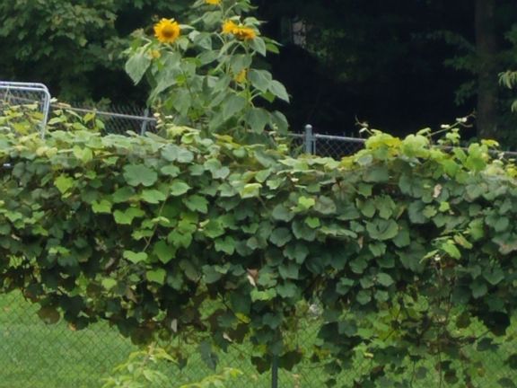 4th image of 210 Dunham Hollow Rd