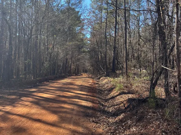 0 Carl Mathis Rd, Talbotton, GA 31827