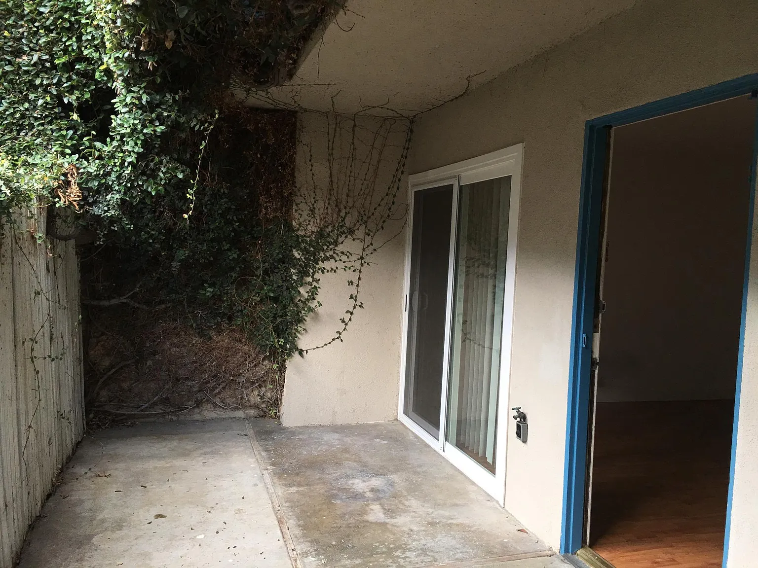1 bed, 800 sqft, $2,595 — Photo 2