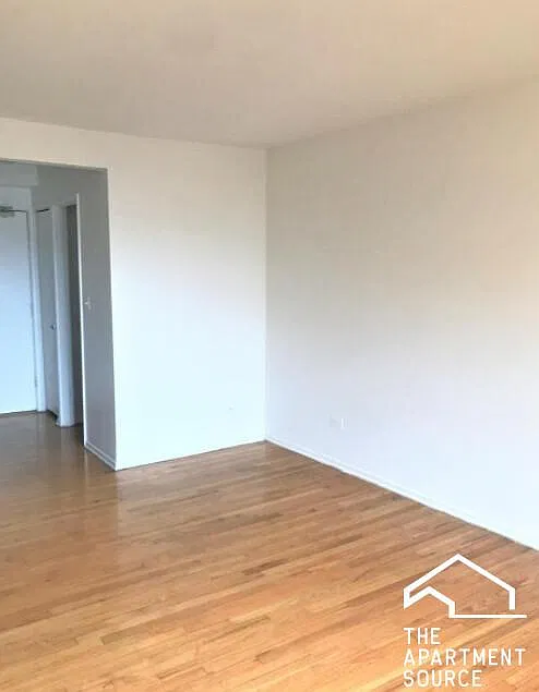 6830 North Sheridan Road #463 — Photo 3