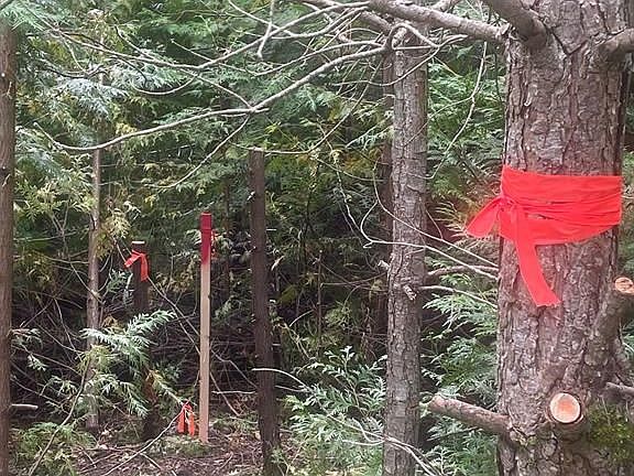 3rd image of 0 Adams Cummings Rd