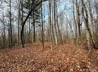 14 Rhododendron Dr, Saluda, NC 28773