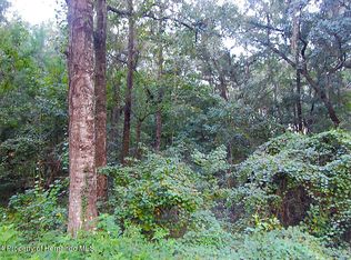 0 Lear St, Spring Hill, FL 34608