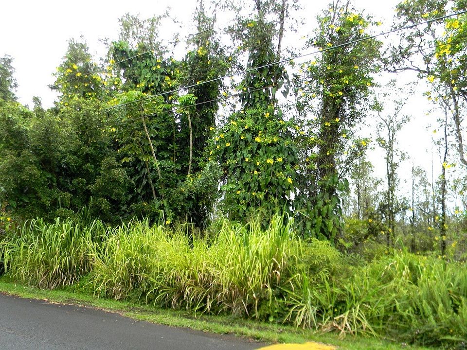2nd image of Ohia Dr Lot 27