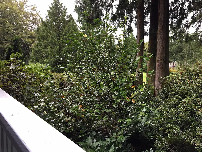 41-6 Highland Greens Dr — Photo 22