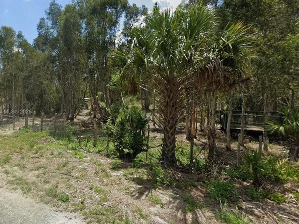 1015 Legion Ave, Lehigh Acres, FL 33974
