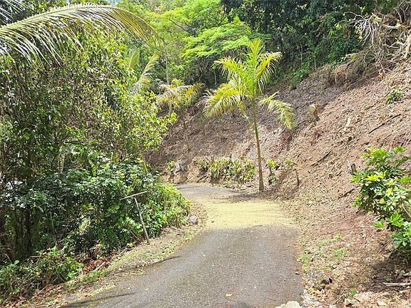 3rd image of PR 156 KM. 23.9 RIO HONDO WARD