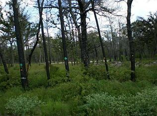 592 Pine Tree Loop, Bastrop, TX 78602