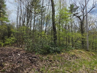 Lot 82 Perry Pond Road, Narrowsburg, NY, 12764