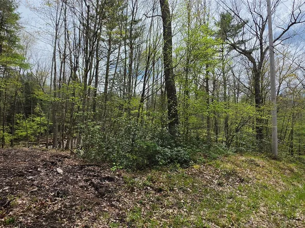 Lot 82 Perry Pond Road, Narrowsburg, NY 12764