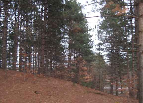 5th image of 1995 Club House Dr