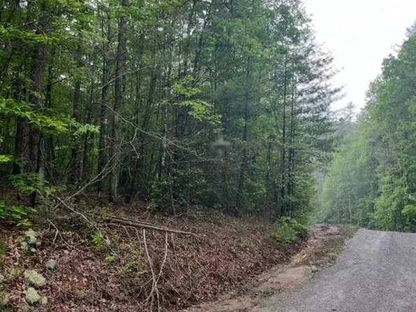 0 Possum Trot Rd, Grandview, TN 37337