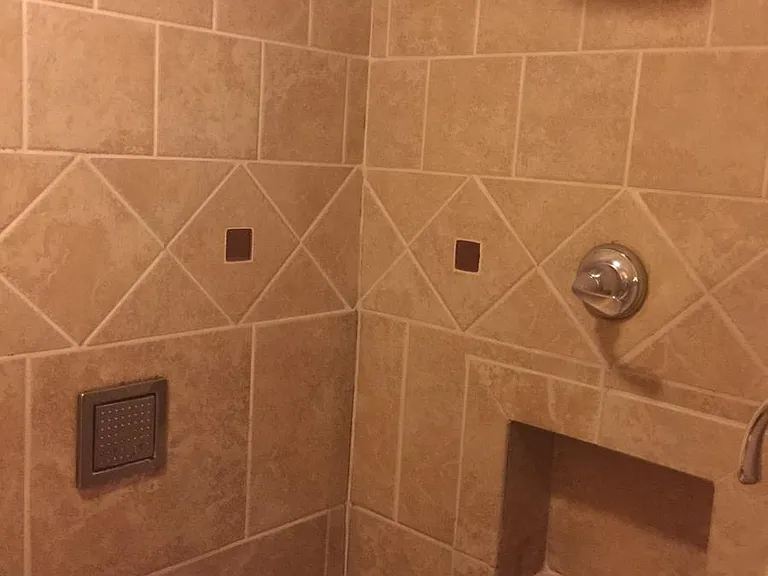 Master Bath Jetted Shower