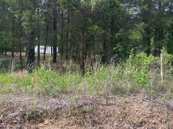 (undisclosed Address), Pleasant Plains, AR 72568