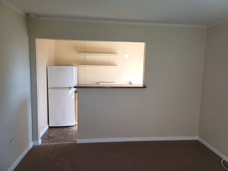 437 Athol Ave #A — Photo 13