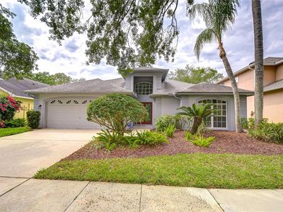 18828 Rue Loire St, Lutz, FL, 33558