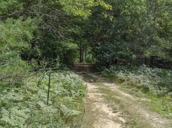 PARCEL Vans Ln #F, Fife Lake, MI 49633