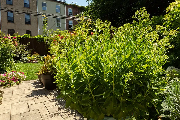 Rented by Compass | media 28