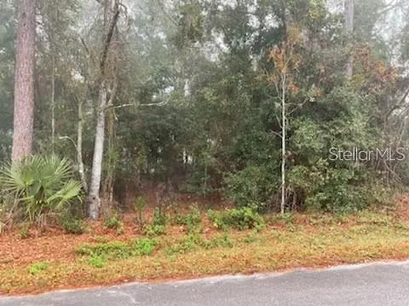 0 SE 99th Ave #101, Belleview, FL 34420