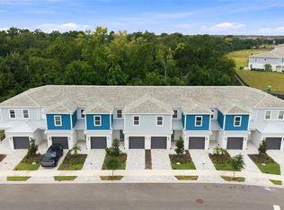 1216 Royal View Ter, Kissimmee, FL 34747