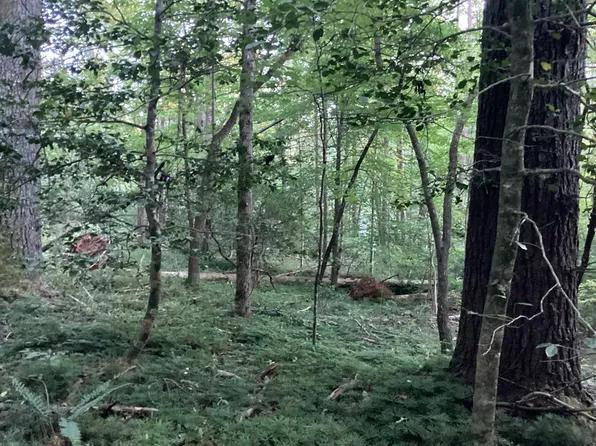 LOT 16 Hi River Rd, Hiawassee, GA 30546