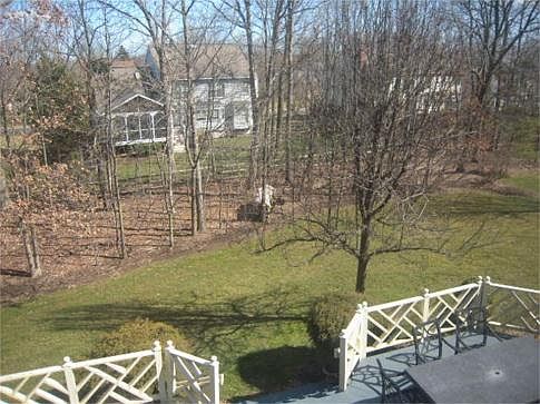 Large Backyard with Mature Trees